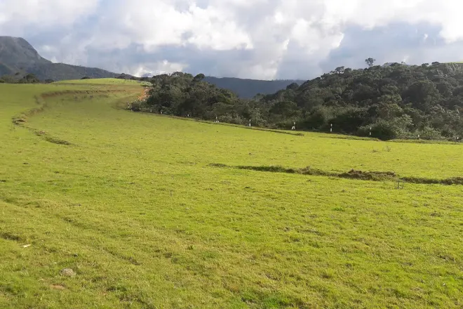 Nuwara Eliya image 3