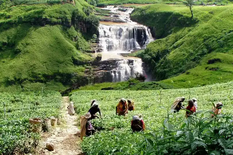 Nuwara Eliya image 4