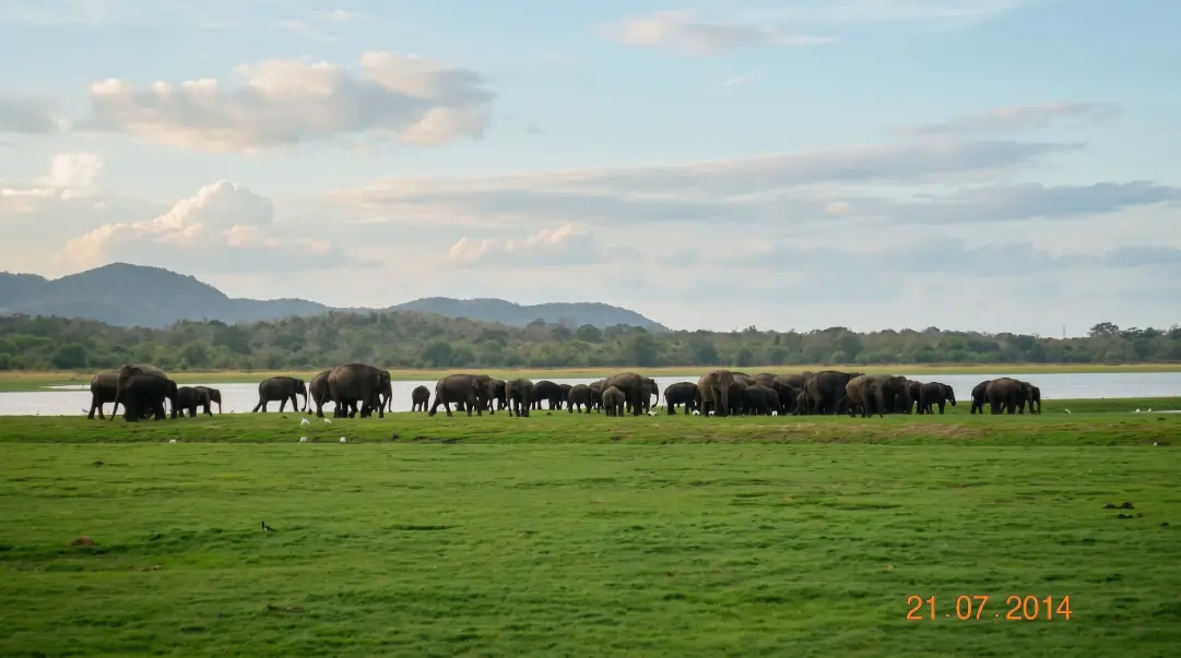Best of Sri Lanka Tour