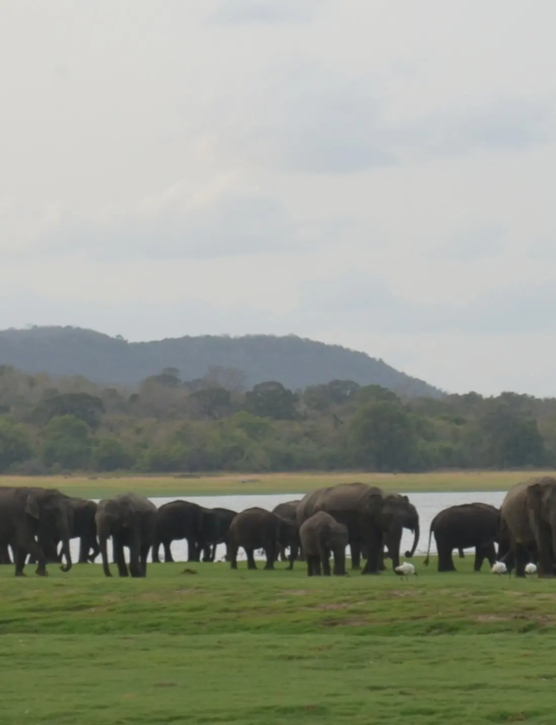 Best of Sri Lanka