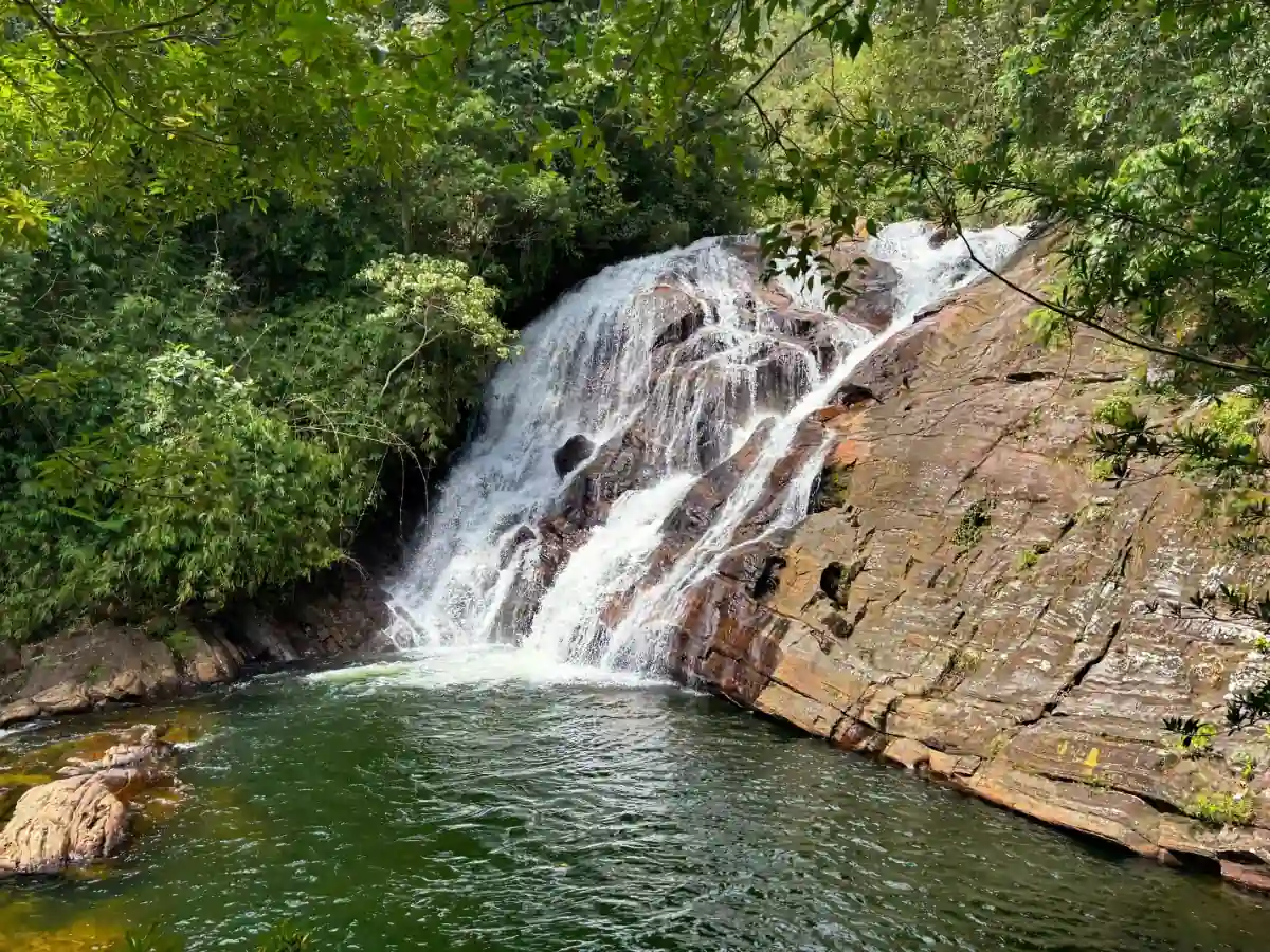 Sinharaja Day Tour image 1