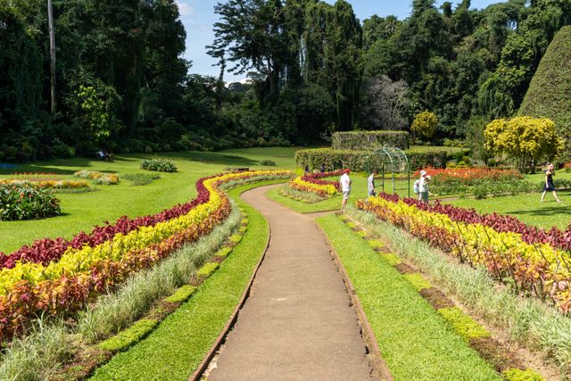 Botanic Garden Peradeniya / Kandy City Tour