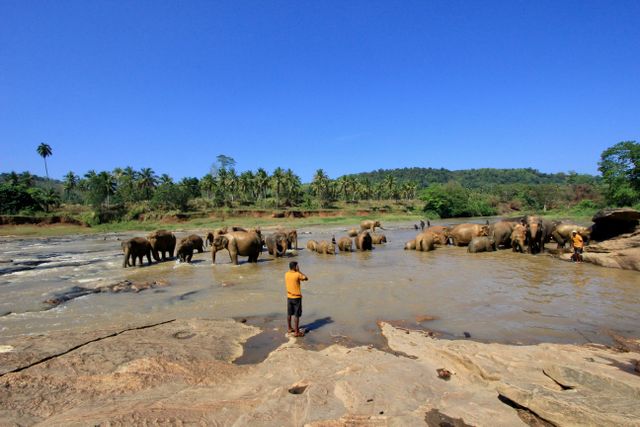 Pinnawala Elephant Orphanage / Kalpitiya Beach