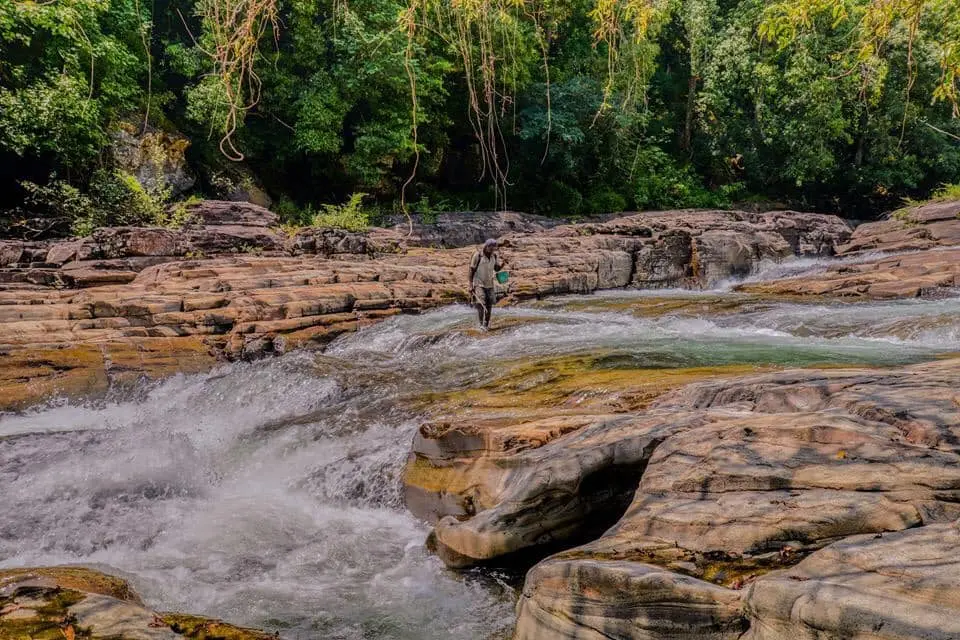Solo Wildlife and Culture Tour image 1