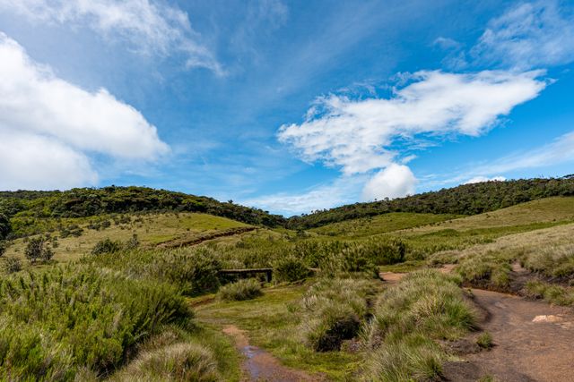 Horton Plains / Golf Course / Nuwara Eliya
