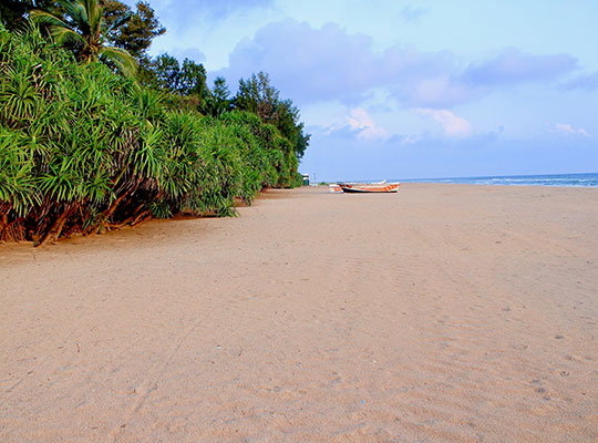 Leisure at Trinco Beach Resort