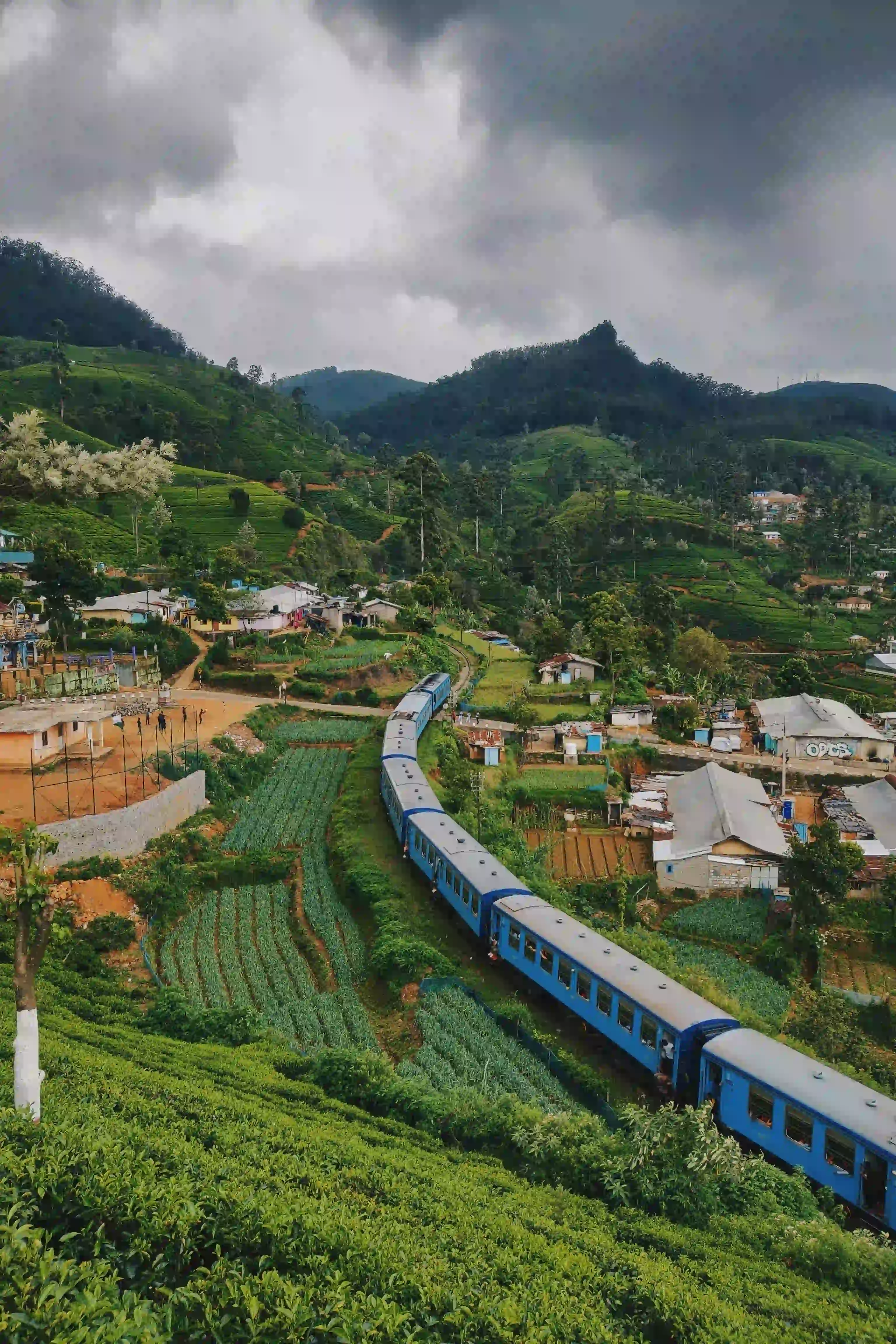Tea country Sri Lanka
